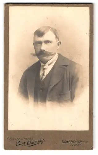 Fotografie Franz Odersky, Schärding a /Inn, Portrait bürgerlicher Herr mit Schnauzbart