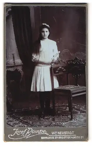 Fotografie Josef Pompe, Wr. Neustadt, Bahngasse 27, Portrait junge Dame in modischer Kleidung