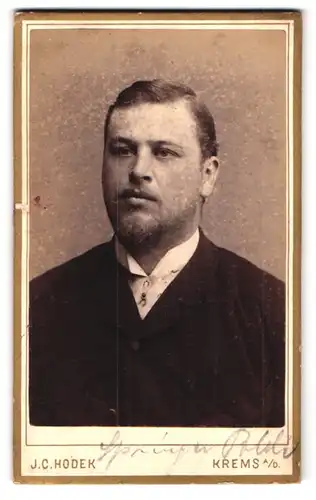 Fotografie J. C. Hodek, Krems a /D., Dachsberggasse 5, Portrait stattlicher Herr mit Vollbart