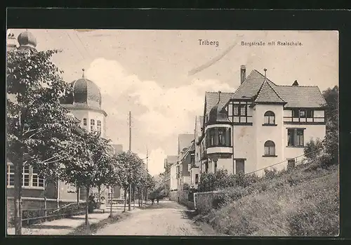 AK Triberg, Bergstrasse mit Realschule