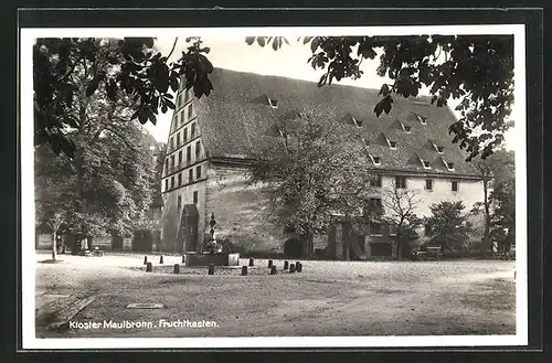 AK Maulbronn, Kloster Maulbronn, Fruchtkasten mit Brunnen