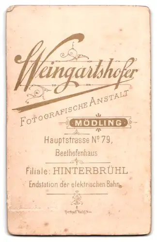 Fotografie Weingartshofer, Mödling, Hauptstrasse 79, Portrait modisch gekleideter Herr mit Bart