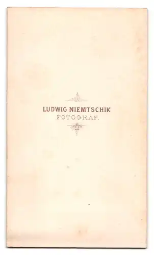 Fotografie Ludwig Niemtschik, Fridek-Mistek, Portrait eleganter Herr mit Spitzbart