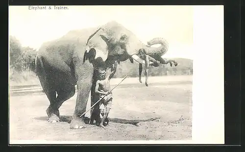 AK Elephant & Trainer, Indischer Dompteur mit einem Elefanten