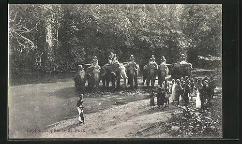 AK Ceylon, Elephants at work, Elefanten bei der Arbeit