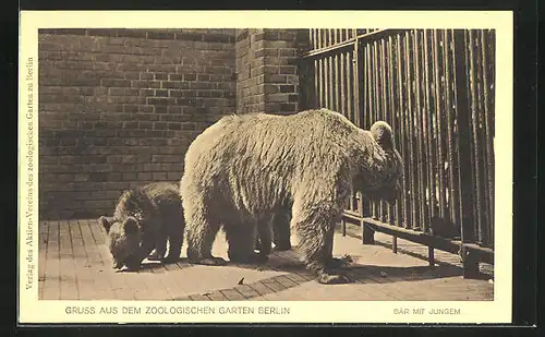 AK Berlin, Zoologischer Garten, Bär mit Jungem