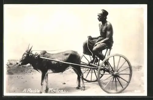 AK Afrikanischer Mann auf einem Gespann