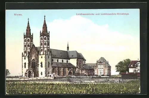 AK Worms, Liebfrauenkirche und Liebfraumilch-Weinberge