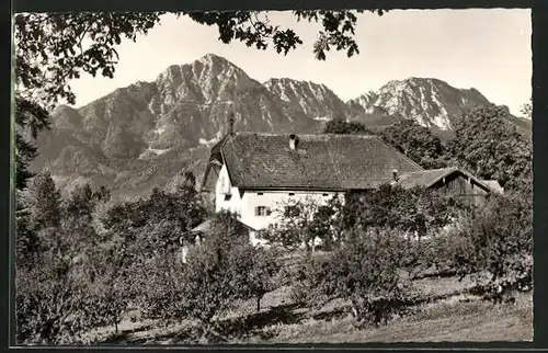 AK Piding /Obb, Berggasthof Stroblalm am Högl mit Staufen und Zwiesel