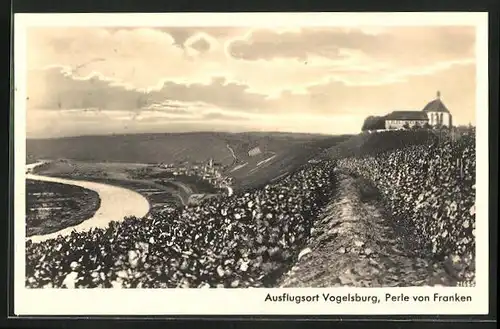 AK Vogelsburg /Franken, Panorama