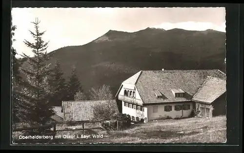 AK Oberhaiderberg i. Bayr. Wald, Ortspartie mit Osser