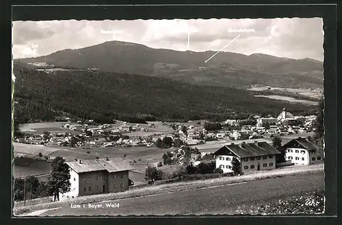 AK Lam i. Bayer. Wald, Teilansicht mit Riedelstein, Rauchröhren und Eschelseigen