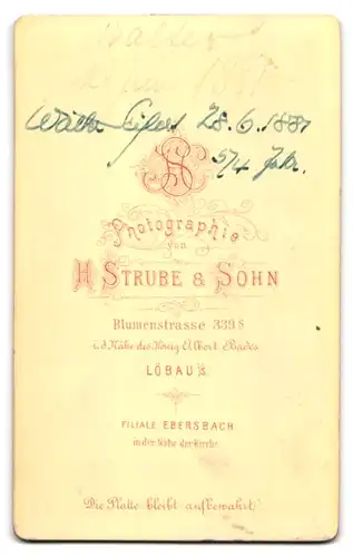 Fotografie H. Stube & Sohn, Löbau i /S., Portrait kleines Mädchen im hübschen Kleid