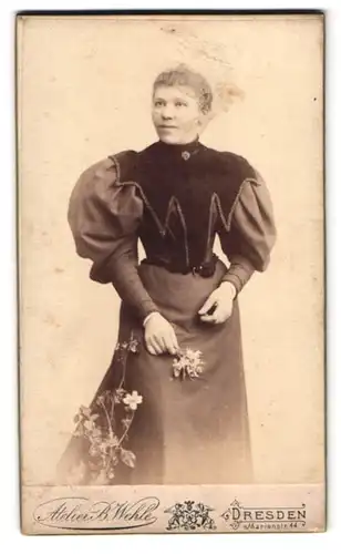 Fotografie B. Wehle, Dresden, Marien-Strasse 44, Portrait junge Dame im modischen Kleid