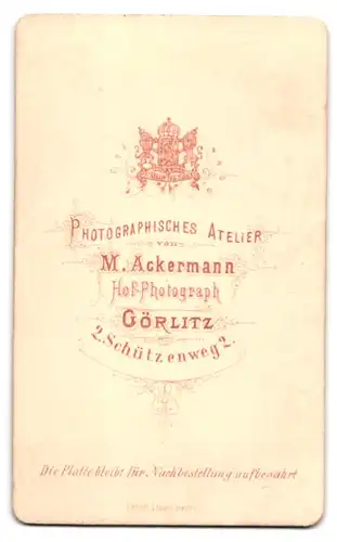 Fotografie M. Ackermann, Görlitz, Schützenweg 2, Portrait junger Herr im Anzug mit Fliege