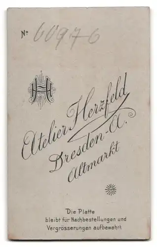 Fotografie Hermann Herzfeld, Dresden-A., Altmarkt, Portrait junge Dame in hübscher Kleidung