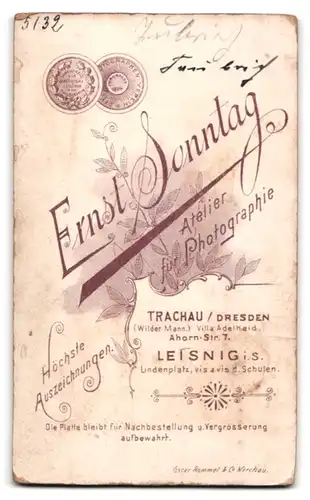 Fotografie Ernst Sonntag, Dresden-Trauchau, Ahorn-Strasse 7, Portrait bürgerliche Dame im Kleid