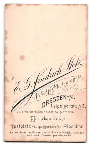 Fotografie E. G. Friedrich Stotz, Dresden-N., Leipzigerstrasse 49, Portrait junger Mann im Anzug mit Fliege