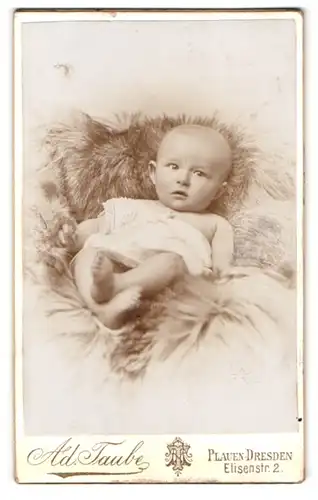 Fotografie Ad. Taube, Dresden-Plauen, Elisenstrasse 2, Portrait süsses Kleinkind im weissen Hemd