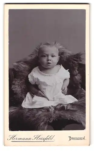 Fotografie Hermann Herzfeld, Dresden, Portrait süsses Kleinkind im weissen Kleid