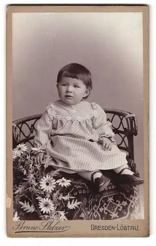 Fotografie Bruno Stelzer, Dresden-Löbtau, Reisewitzerstrasse 20, Portrait süsses Kleinkind im gestreiften Kleid