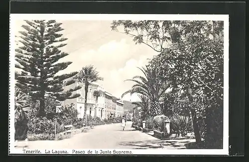 AK Tenerife, La Laguna, Paseo de la Junta Suprema