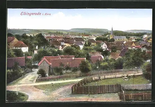 AK Elbingerode / Harz, Totalansicht