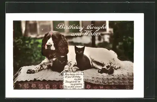 Präge-AK Hund und Katze auf einer Decke