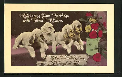 AK Greeting your Birthday, Hunde und Blumenvase