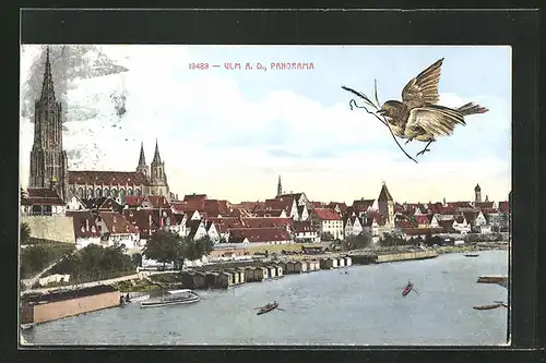 AK Ulm a. D., Panorama mit Spatz
