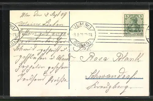 AK Ulm a. D., Panorama mit Donaupartie