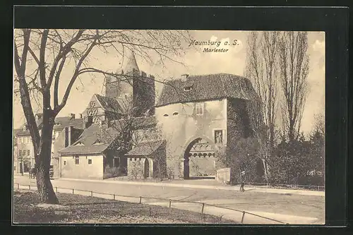 AK Naumburg a. S., Blick zum Marientor