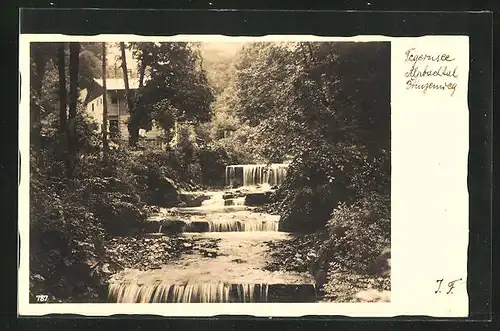 AK Tegernsee, Prinzenweg im Alpbachtal