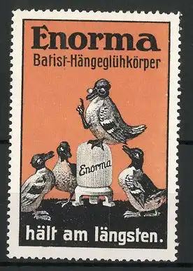 Reklamemarke Enorma Batist-Hängeglühkörper hält am längsten, Enten im Gespräch