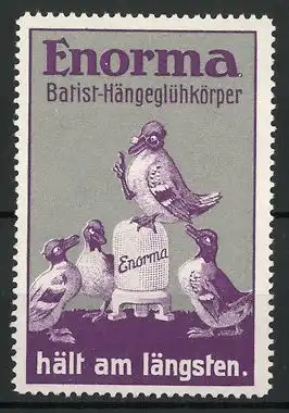 Reklamemarke Enorma Batist-Hängeglühkörper hält am längsten, Enten im Gespräch