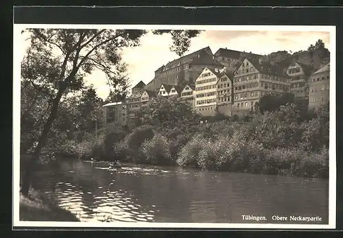 AK Tübingen, Häuser an der oberen Neckarpartie