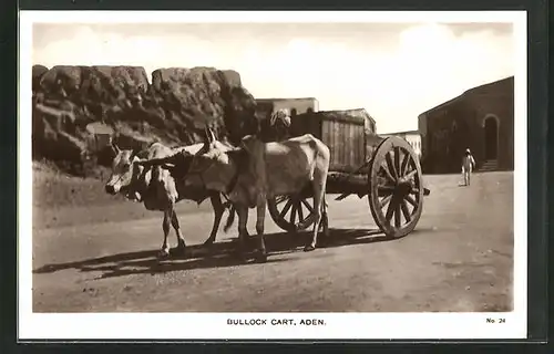 AK Aden, Bullock Cart, Ochsengespann