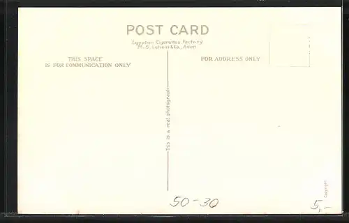 AK Aden, Bullock Cart, Ochsengespann