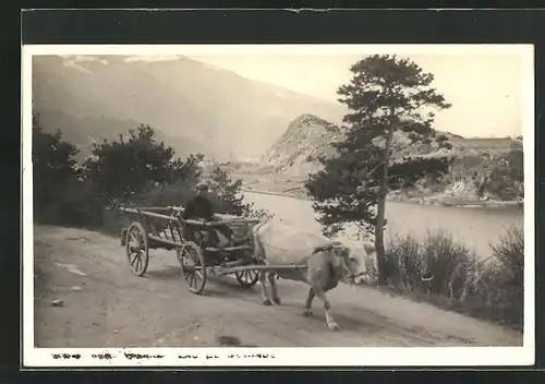 AK Ochsengespann, auf dem Weg unter den Bergen