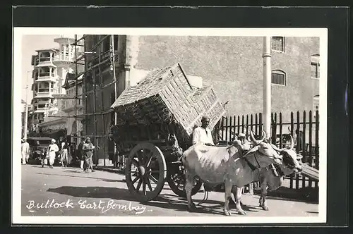 AK Ochsengespann, Bombay, Bullock Cart