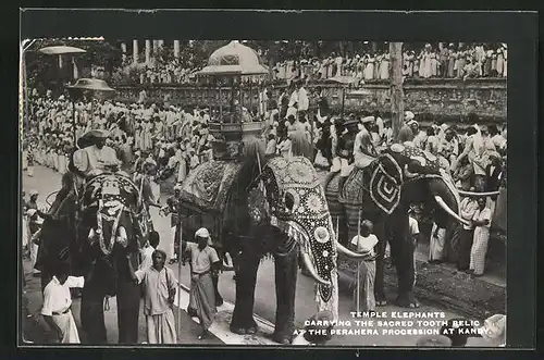 AK Kandy, Temple Elephants Carrying the sacred Tooth Relic at the Perahera Procession