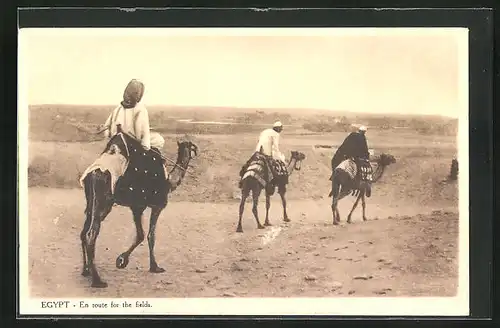 AK Egypt, En route for the fields, Kamelreiter