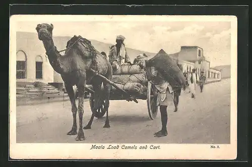 AK Kamel mit Karren, Maala Load Camels and Cart