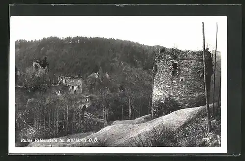 AK Allerheiligen / Mühlkreis, Ruine Falkenstein