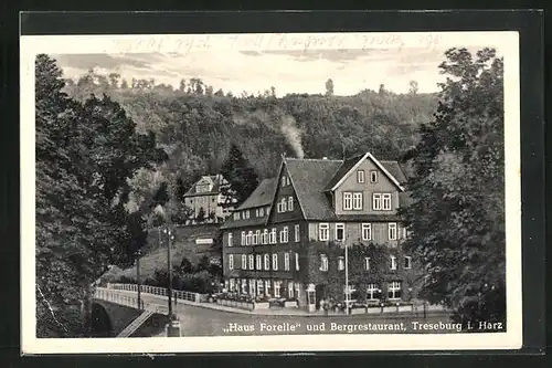 AK Treseburg im Harz, Haus Forelle und Bergrestaurant