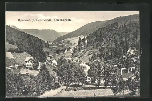AK Alpirsbach im Schwarzwald, Blick in das Ehlenbogental