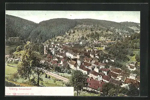 AK Triberg /Schwarzwald, Gesamtansicht