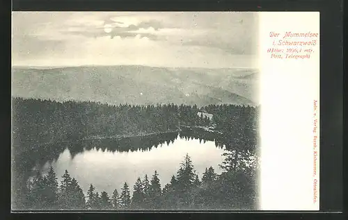 AK Mummelsee i. Schwarzwald, Panorama aus der Vogelschau