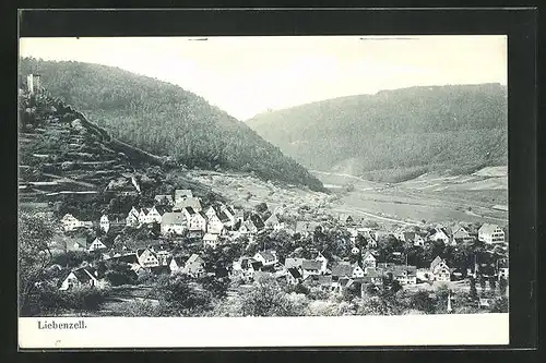 AK Liebenzell, Totalansicht