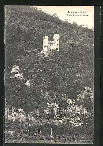 AK Neckarsteinach, Burg Schwalbennest
